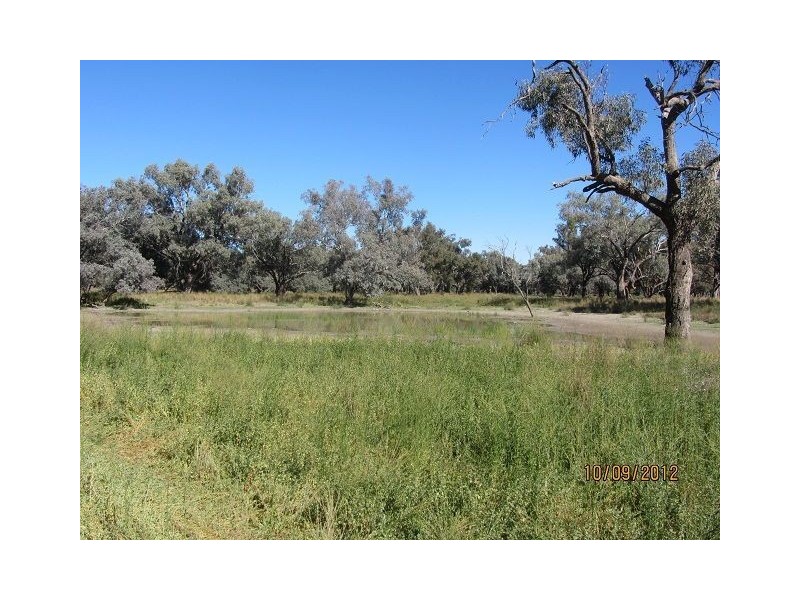 * Newmans Station, Cobar NSW 2835