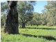 * Newmans Station, Cobar NSW 2835