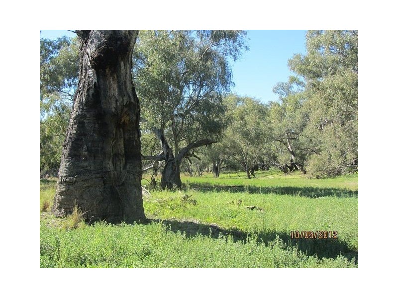 * Newmans Station, Cobar NSW 2835