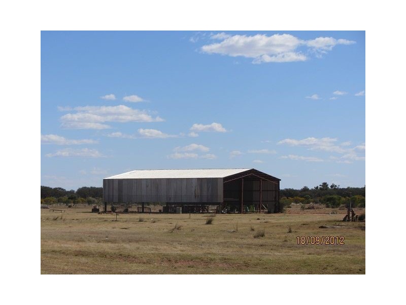 * Boorara Station, Hungerford QLD 4493