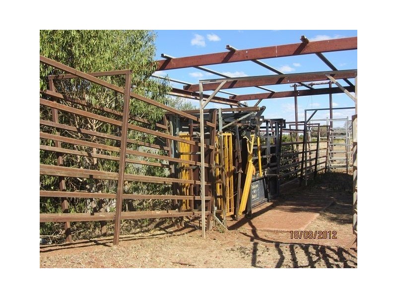* Boorara Station, Hungerford QLD 4493