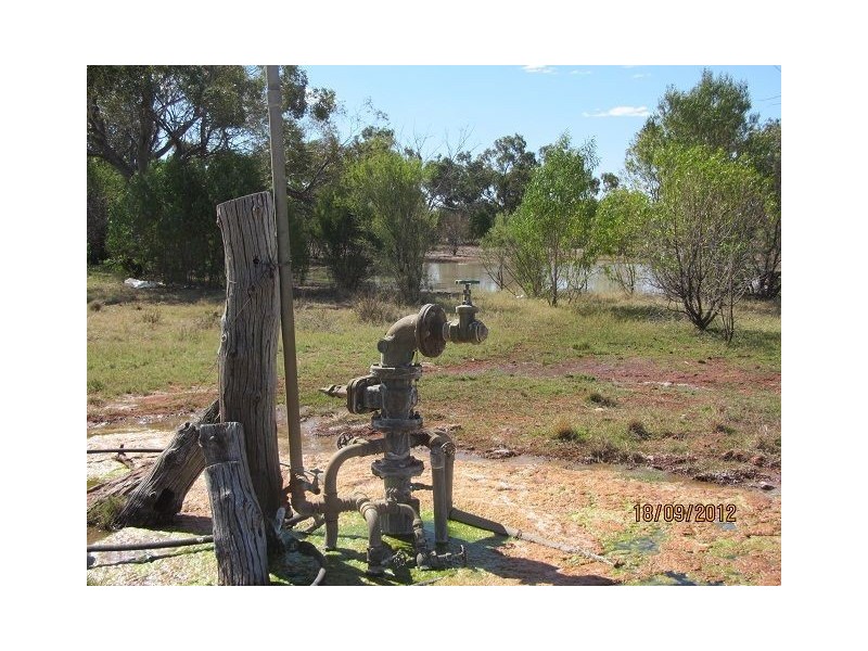 * Boorara Station, Hungerford QLD 4493