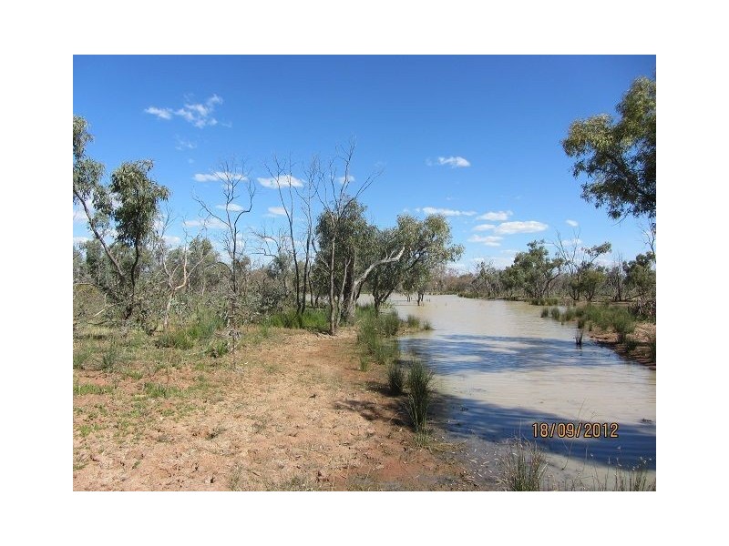 * Boorara Station, Hungerford QLD 4493