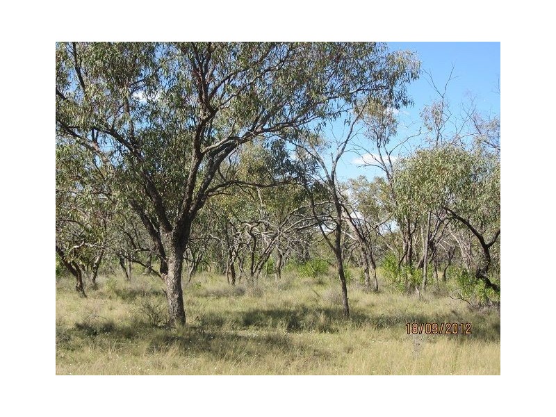 * Boorara Station, Hungerford QLD 4493