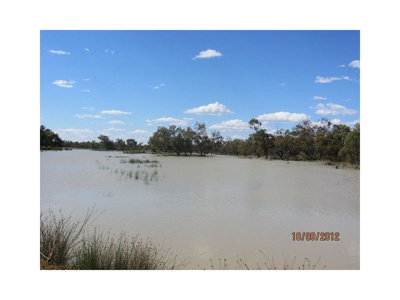 * Boorara Station, Hungerford QLD 4493