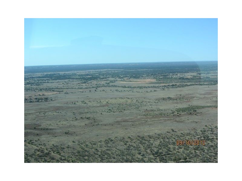 * Boorara Station, Hungerford QLD 4493