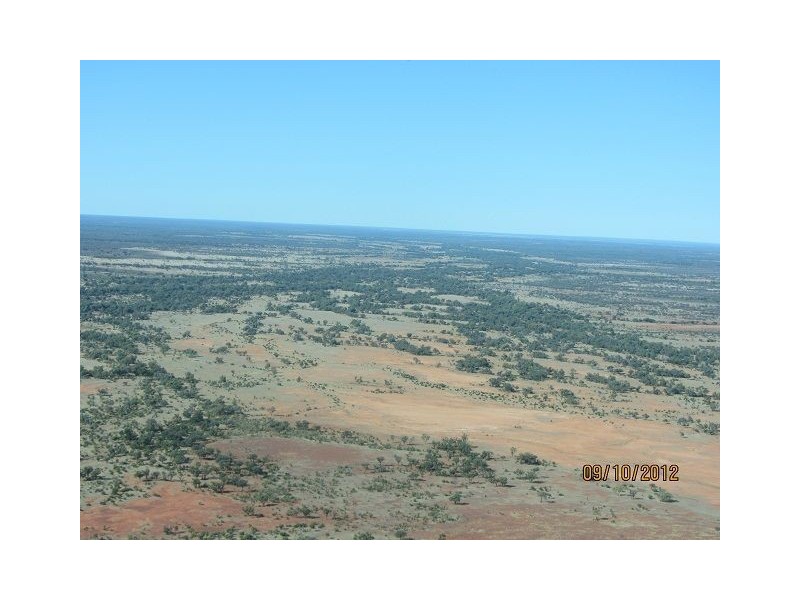 * Boorara Station, Hungerford QLD 4493
