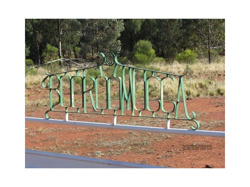 * Booroomugga Station, Girilambone NSW 2831