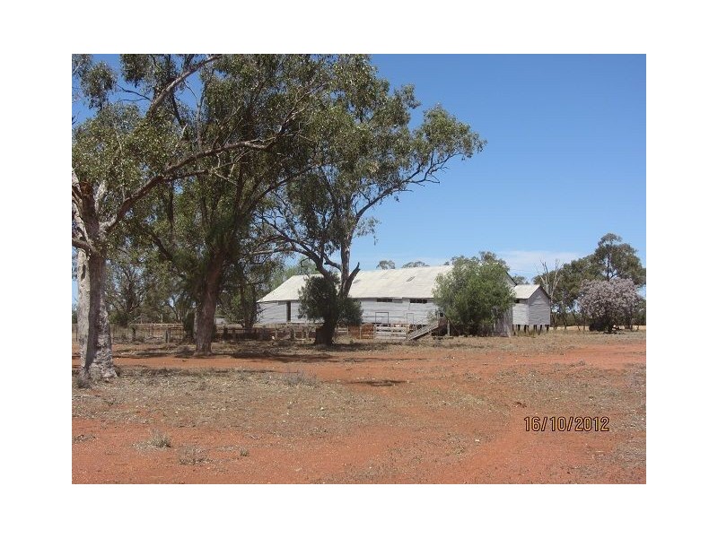 * Booroomugga Station, Girilambone NSW 2831
