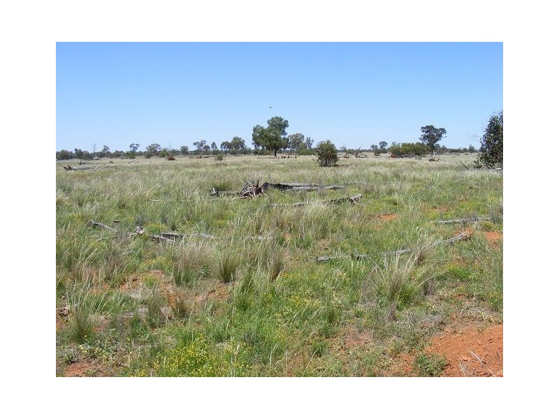 * Booroomugga Station, Girilambone NSW 2831