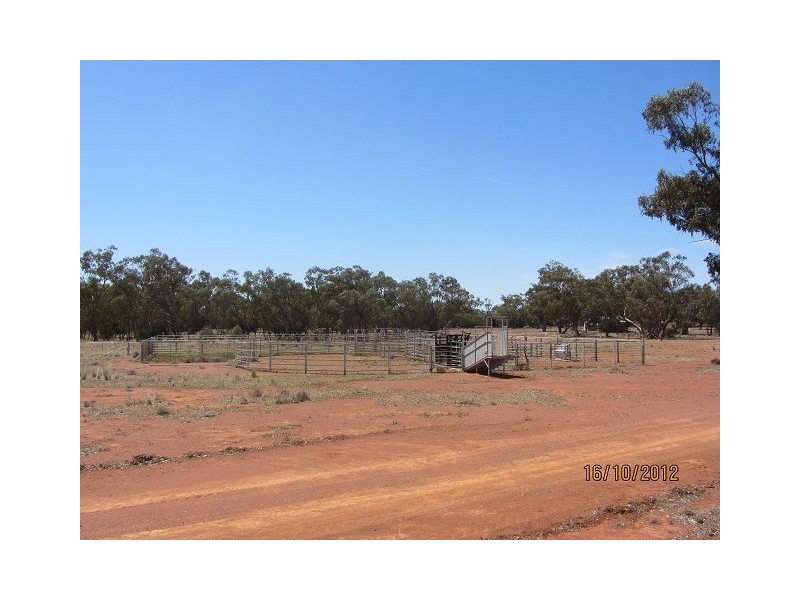 * Booroomugga Station, Girilambone NSW 2831