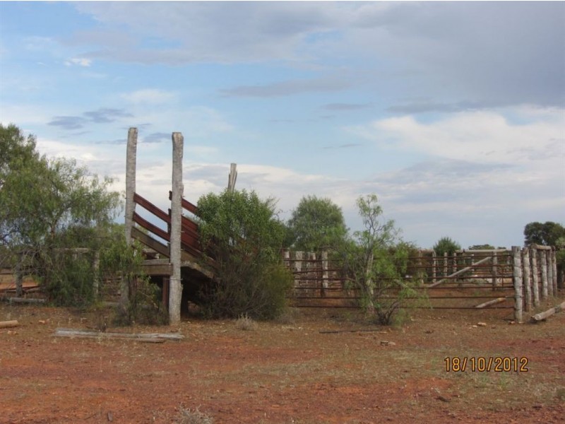 * Maryantha East, Cobar NSW 2835