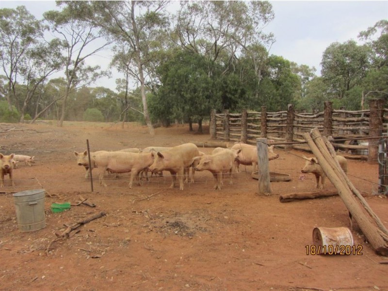 * Maryantha East, Cobar NSW 2835