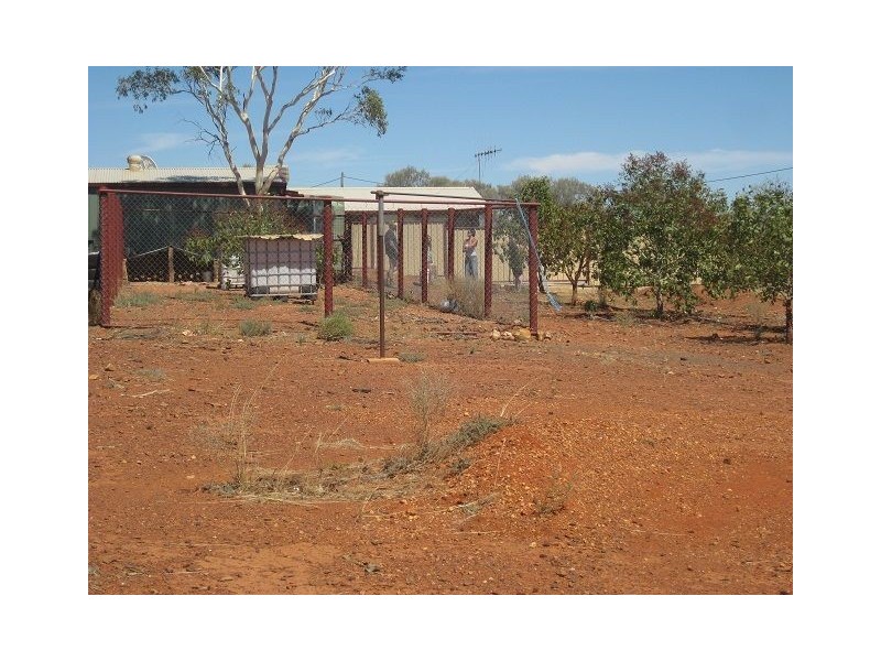 Lot 11 Lerida Road, Cobar NSW 2835