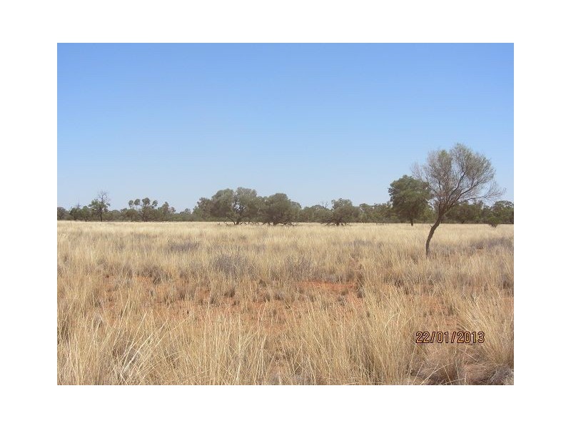 * Mulchara Park, Cobar NSW 2835