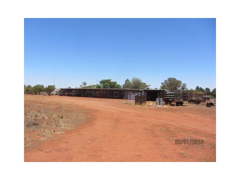 * Mulchara Park, Cobar NSW 2835