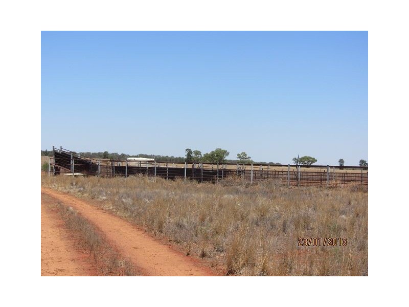 * Mulchara Park, Cobar NSW 2835