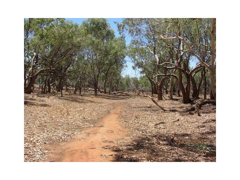 * Mulchara Park, Cobar NSW 2835