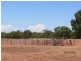 * Mulchara Park, Cobar NSW 2835