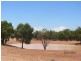 * Mulchara Park, Cobar NSW 2835