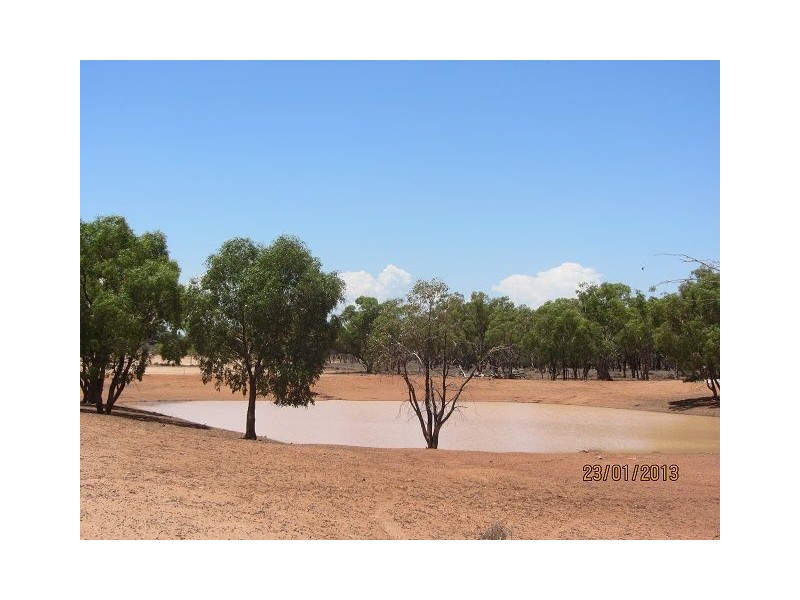 * Mulchara Park, Cobar NSW 2835
