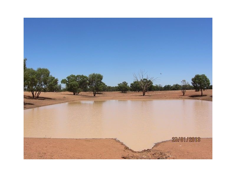 * Mulchara Park, Cobar NSW 2835