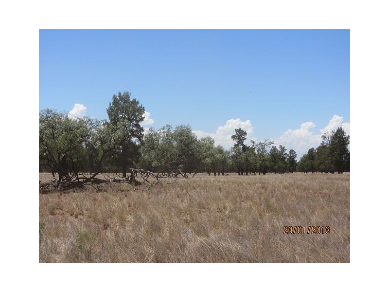 * Mulchara Park, Cobar NSW 2835