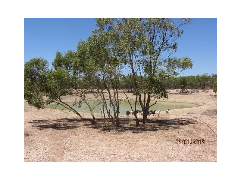 * Mulchara Park, Cobar NSW 2835