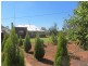 * Pattison Station, Cobar NSW 2835