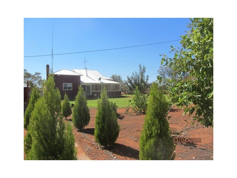 * Pattison Station, Cobar NSW 2835