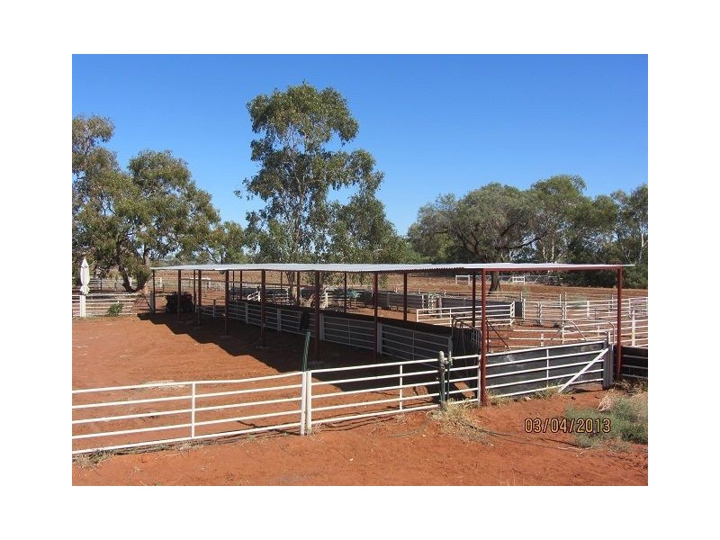 * Pattison Station, Cobar NSW 2835