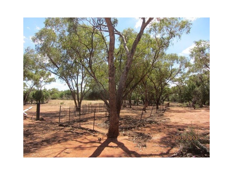 * BUNDELLA SOUTH, Cobar NSW 2835