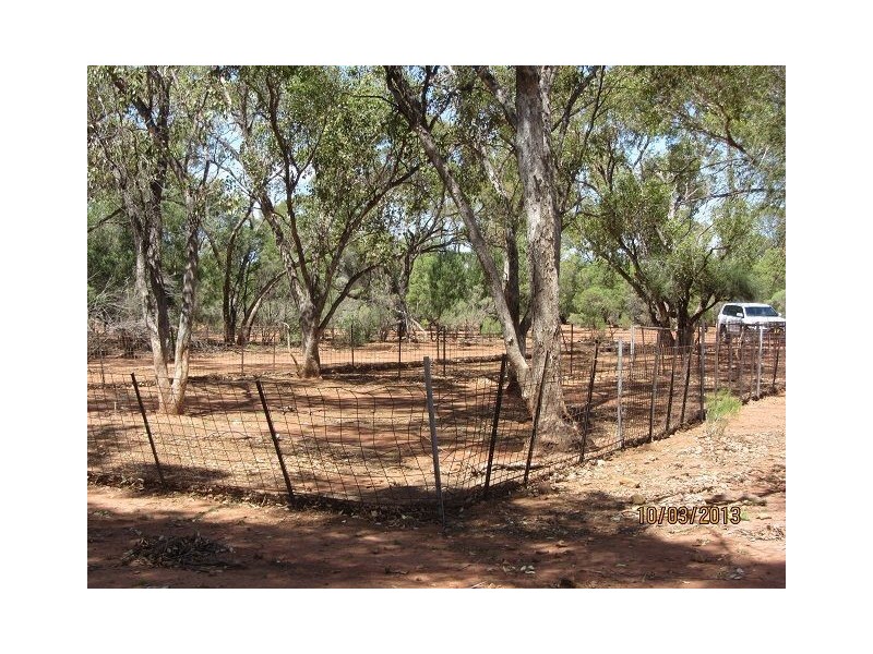 * BUNDELLA SOUTH, Cobar NSW 2835