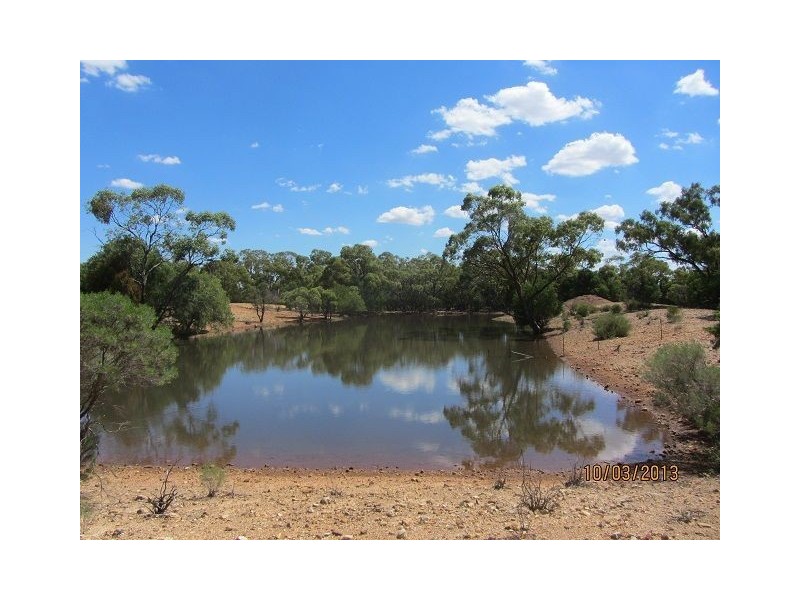 * BUNDELLA SOUTH, Cobar NSW 2835
