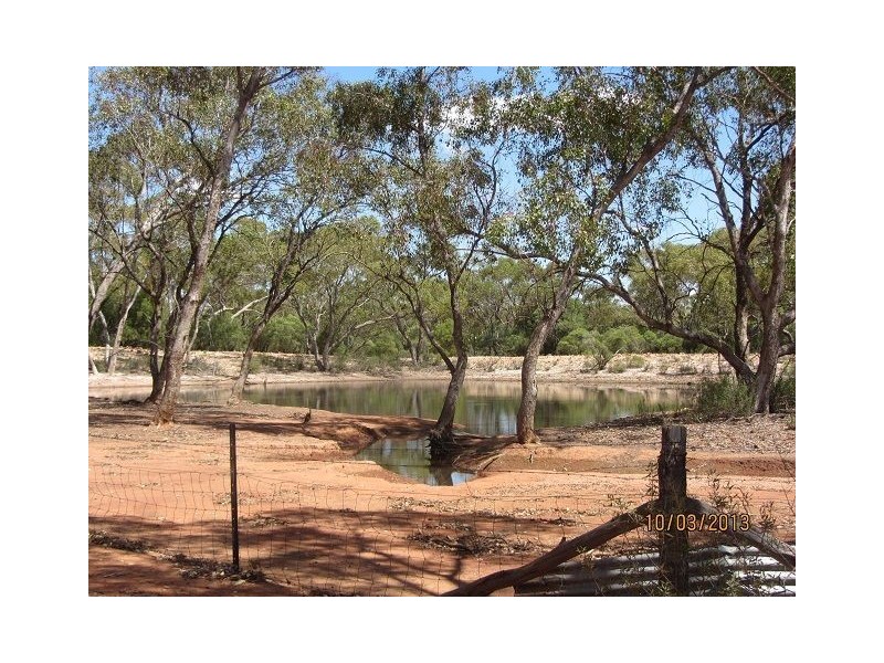 * BUNDELLA SOUTH, Cobar NSW 2835