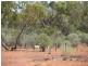 * BUNDELLA SOUTH, Cobar NSW 2835