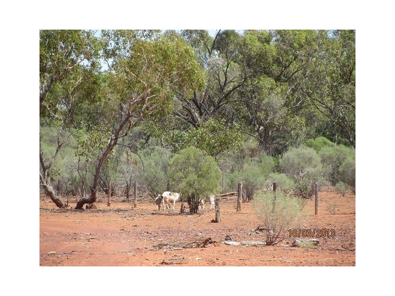 * BUNDELLA SOUTH, Cobar NSW 2835