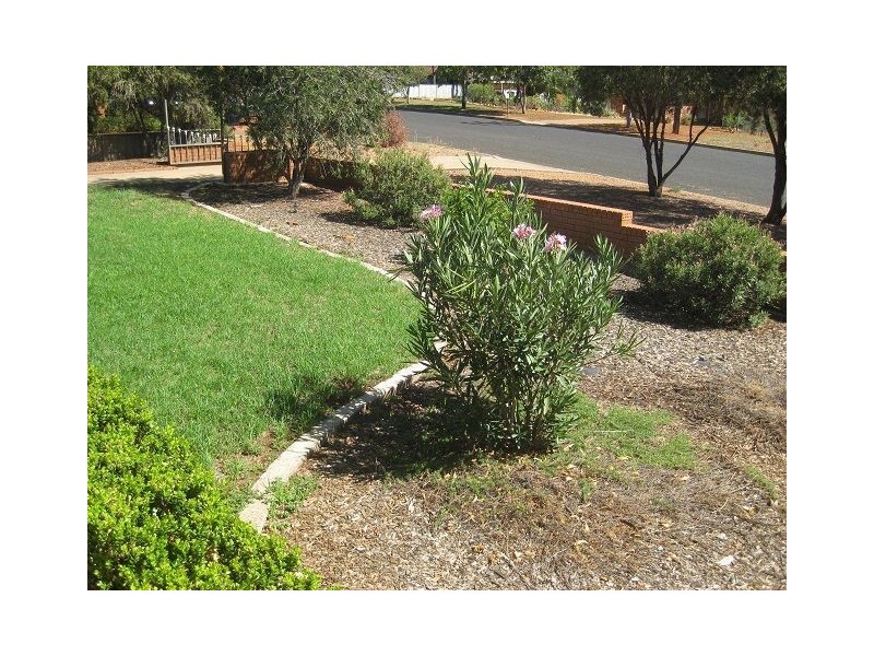 14 Belagoy St, Cobar NSW 2835