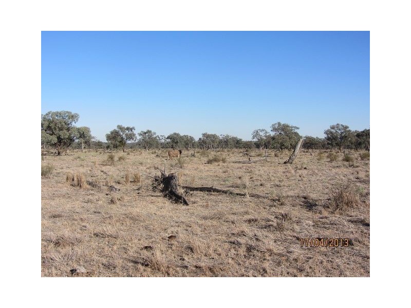 * Kalinga, Condobolin NSW 2877
