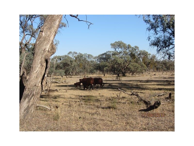 * Kalinga, Condobolin NSW 2877