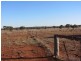 * Kalinga, Condobolin NSW 2877