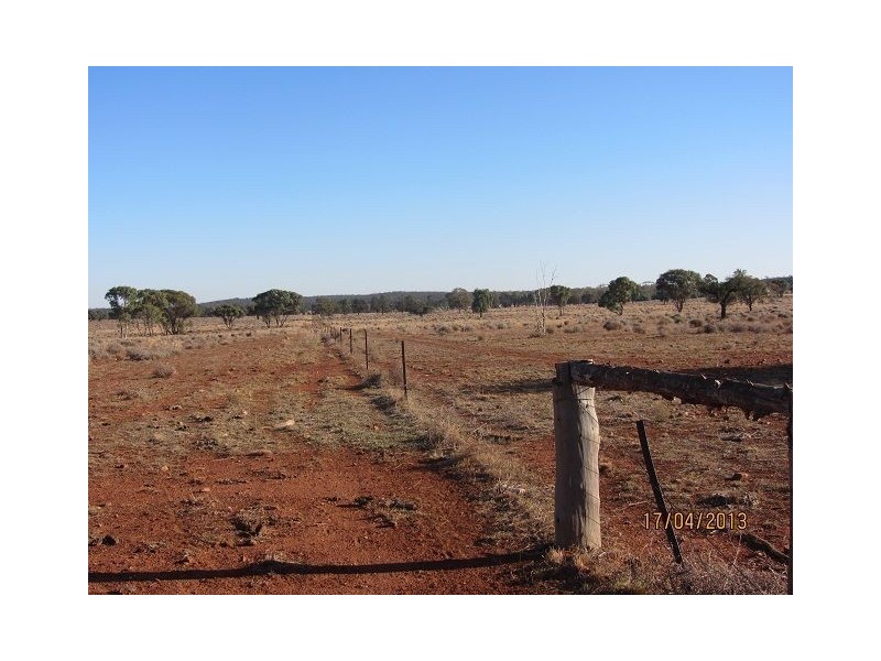 * Kalinga, Condobolin NSW 2877