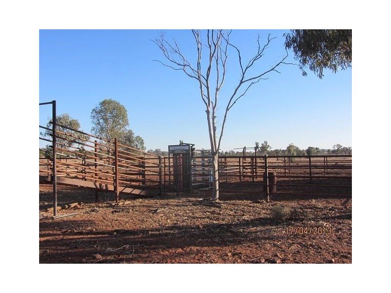 * Kalinga, Condobolin NSW 2877