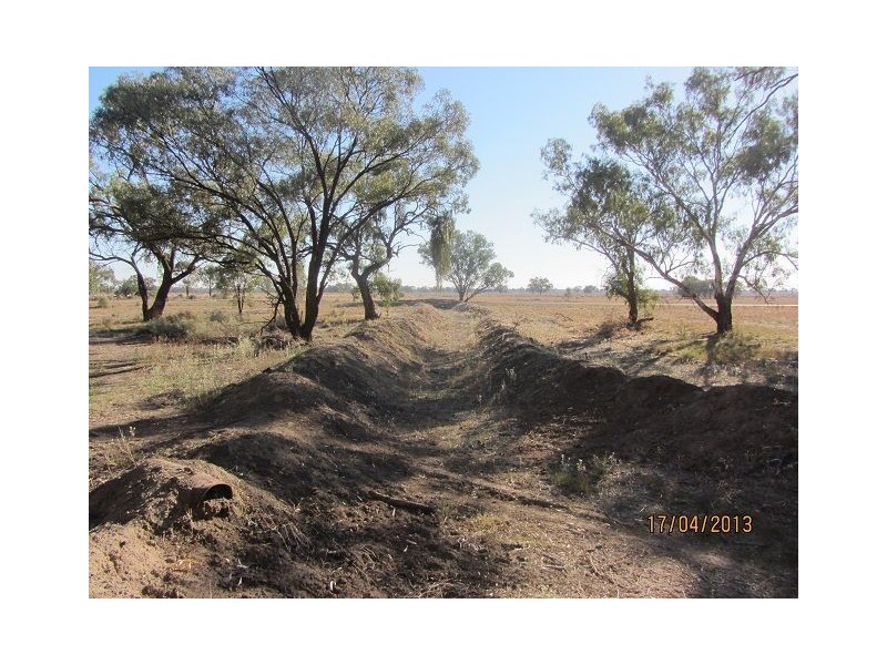 * Kalinga, Condobolin NSW 2877