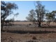 * Kalinga, Condobolin NSW 2877