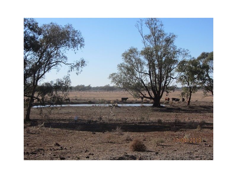 * Kalinga, Condobolin NSW 2877