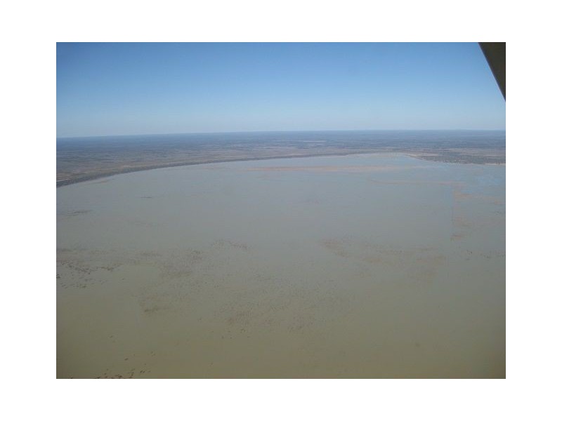 * Alma Park, Wilcannia, Cobar NSW 2835