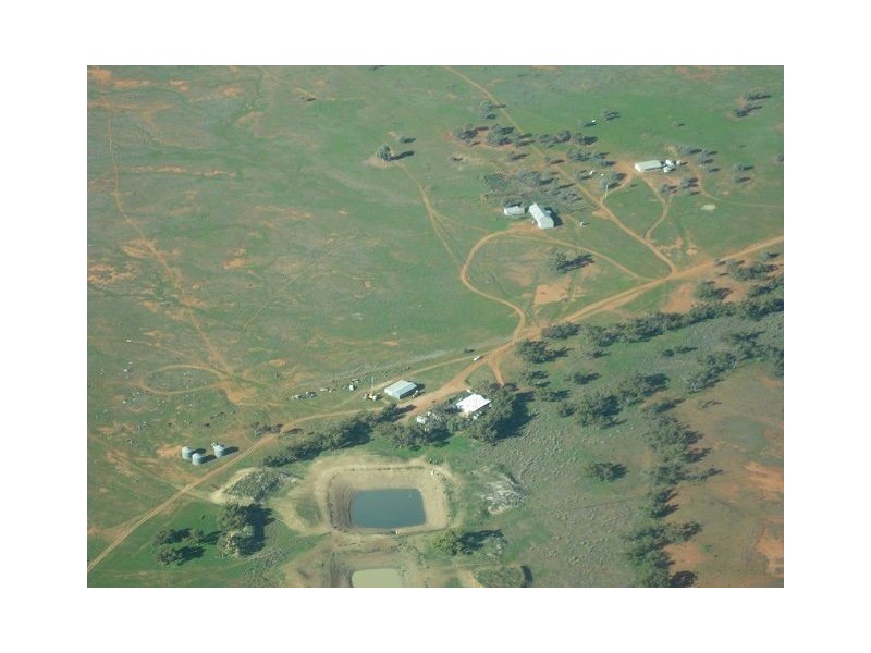 * Alma Park, Wilcannia, Cobar NSW 2835