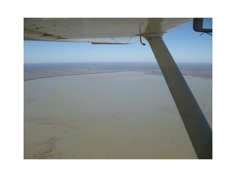 * Alma Park, Wilcannia, Cobar NSW 2835