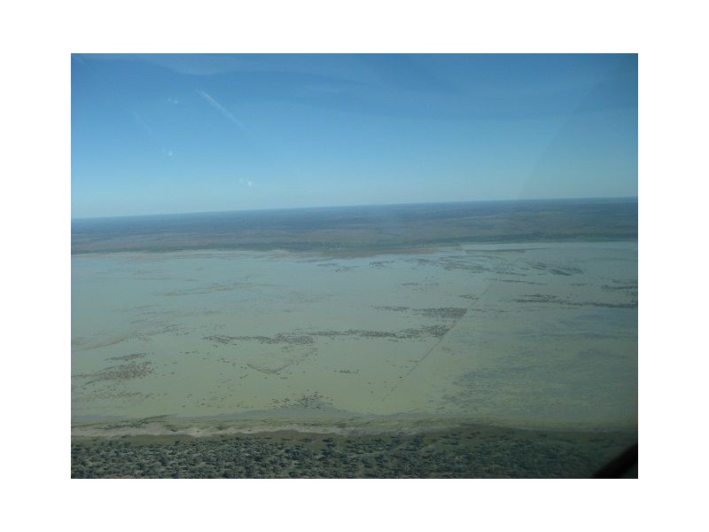 * Alma Park, Wilcannia, Cobar NSW 2835